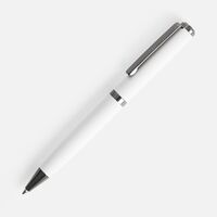 Ручка шариковая Inkish Gunmetal в футляре, белая