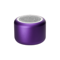 Беспроводная колонка Пэшн (Passion) 80dB 600 mAh (Bluetooth 5.4), фиолетовая