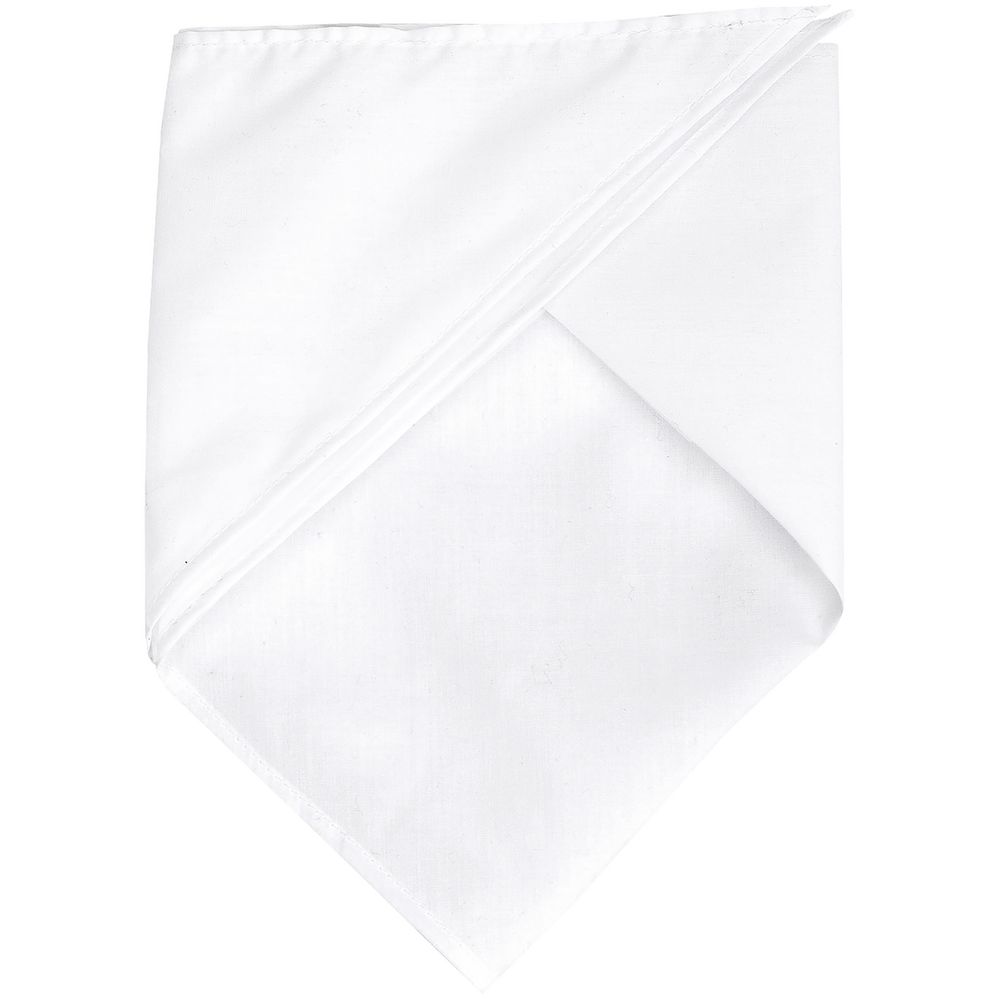 Шейный платок Bandana, белый-2