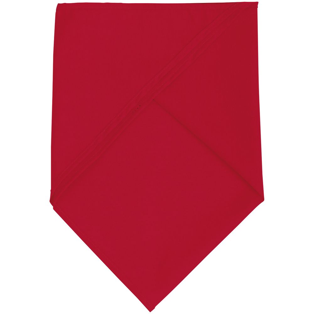 Шейный платок Bandana, красный-2