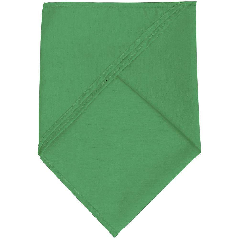 Шейный платок Bandana, ярко-зеленый-2