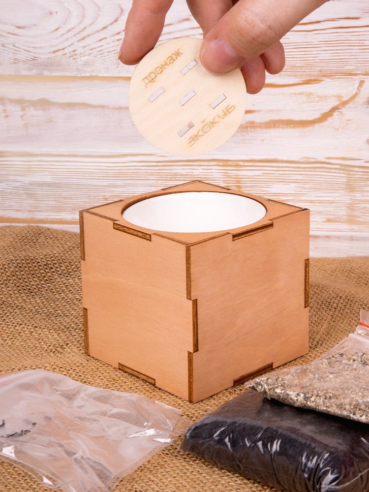Набор для выращивания «Экокуб Lite», сирень-10