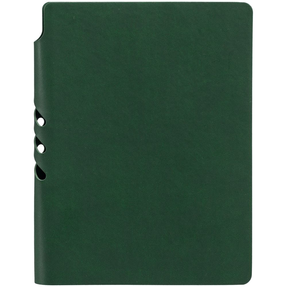 Ежедневник Flexpen Color, датированный, зеленый-3