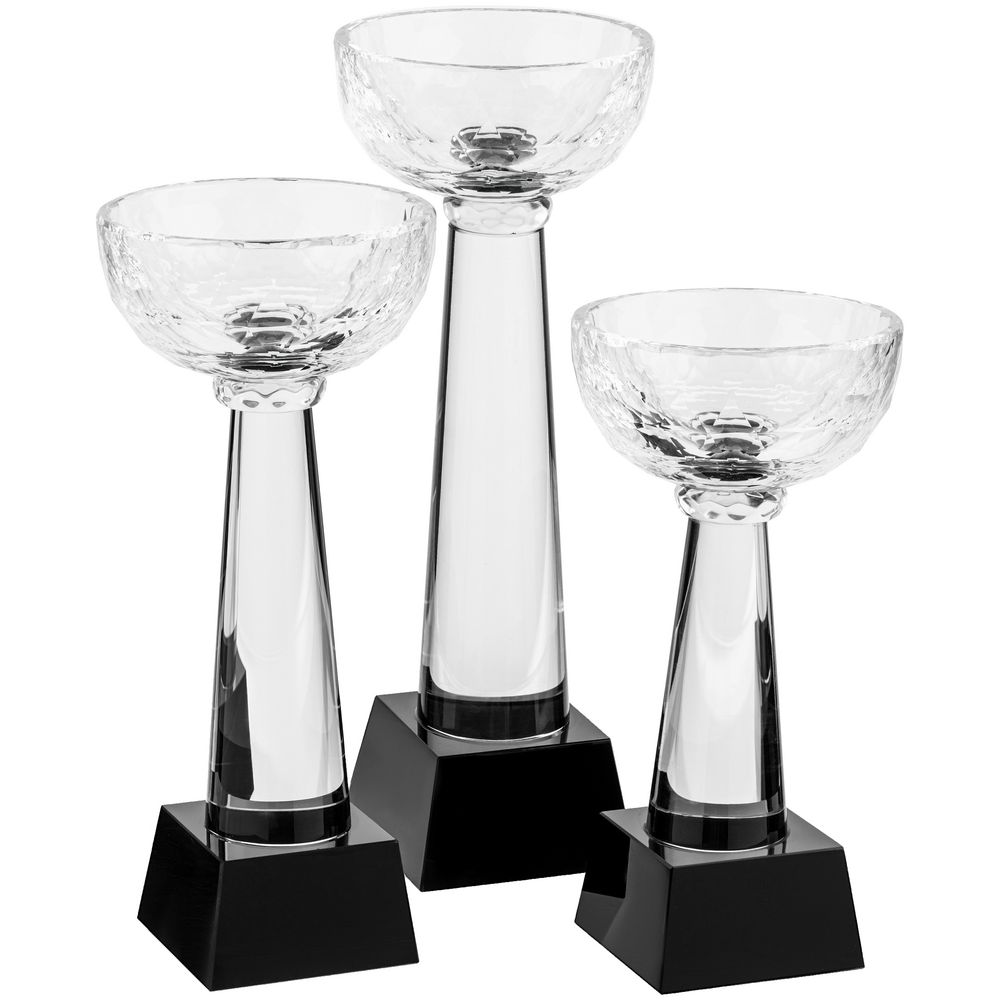 Кубок Cupture, большой-4
