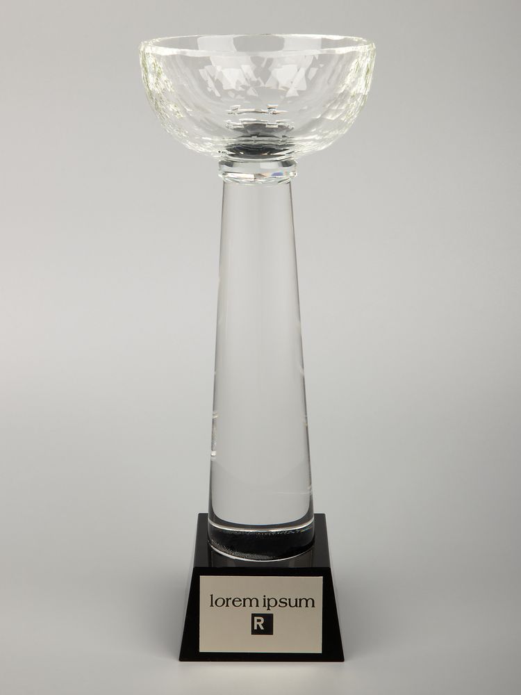 Кубок Cupture, большой-5