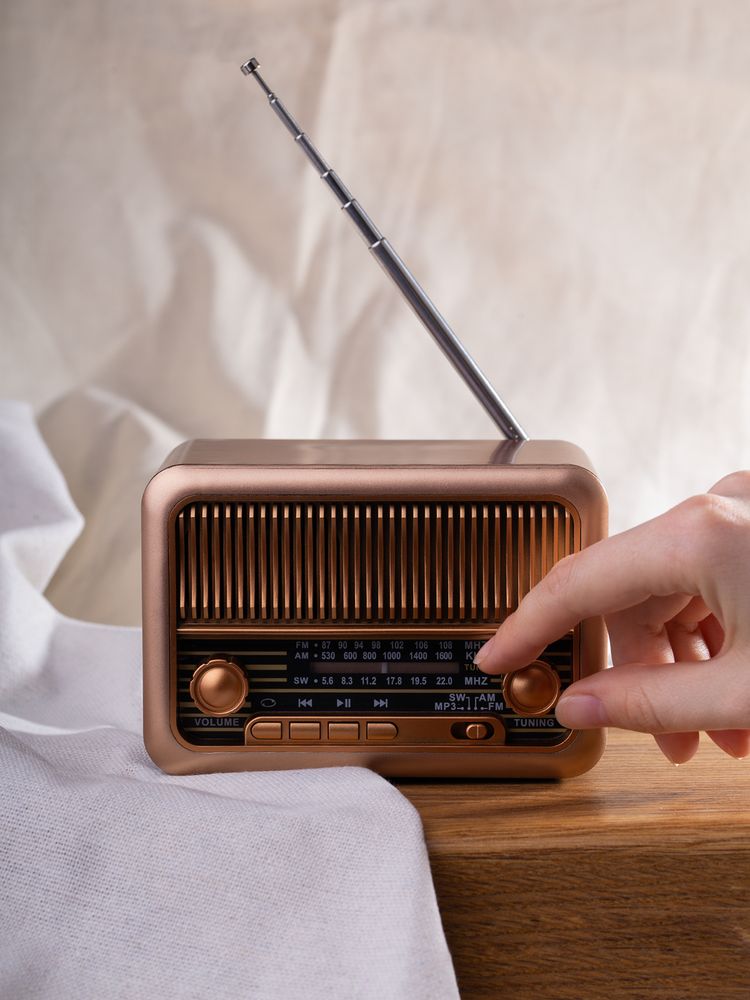 Bluetooth-колонка с радио Beatnik, коричневая-10