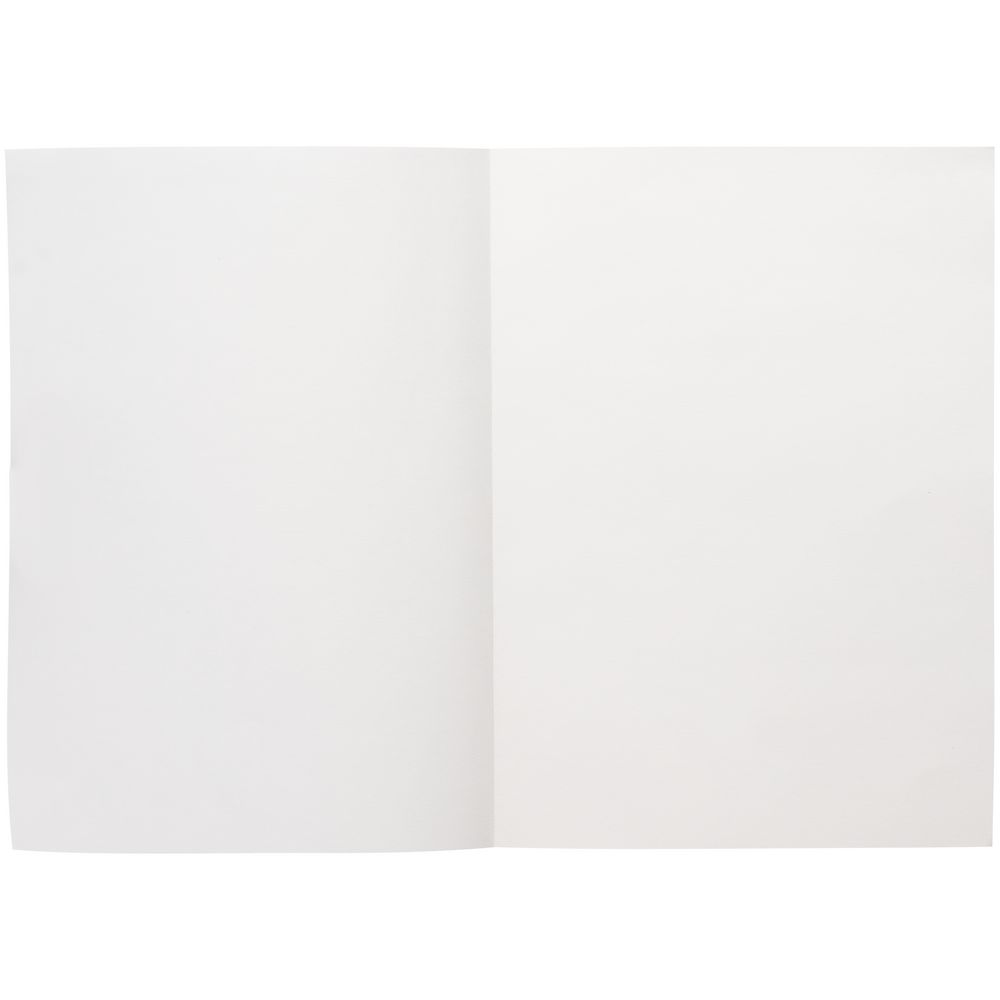 Ежедневник Flat Light, недатированный, иссиня-черный-4