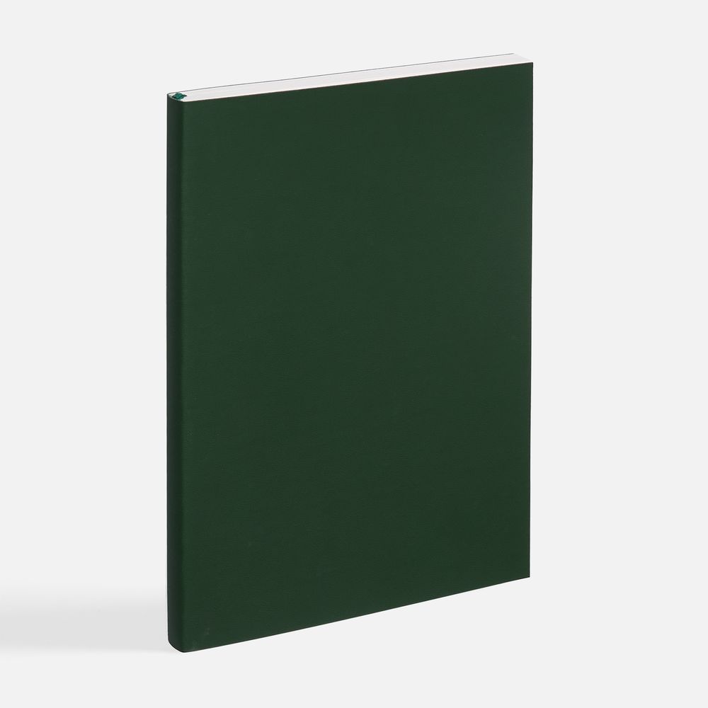 Ежедневник Flat Light ver.2, недатированный, зеленый-2