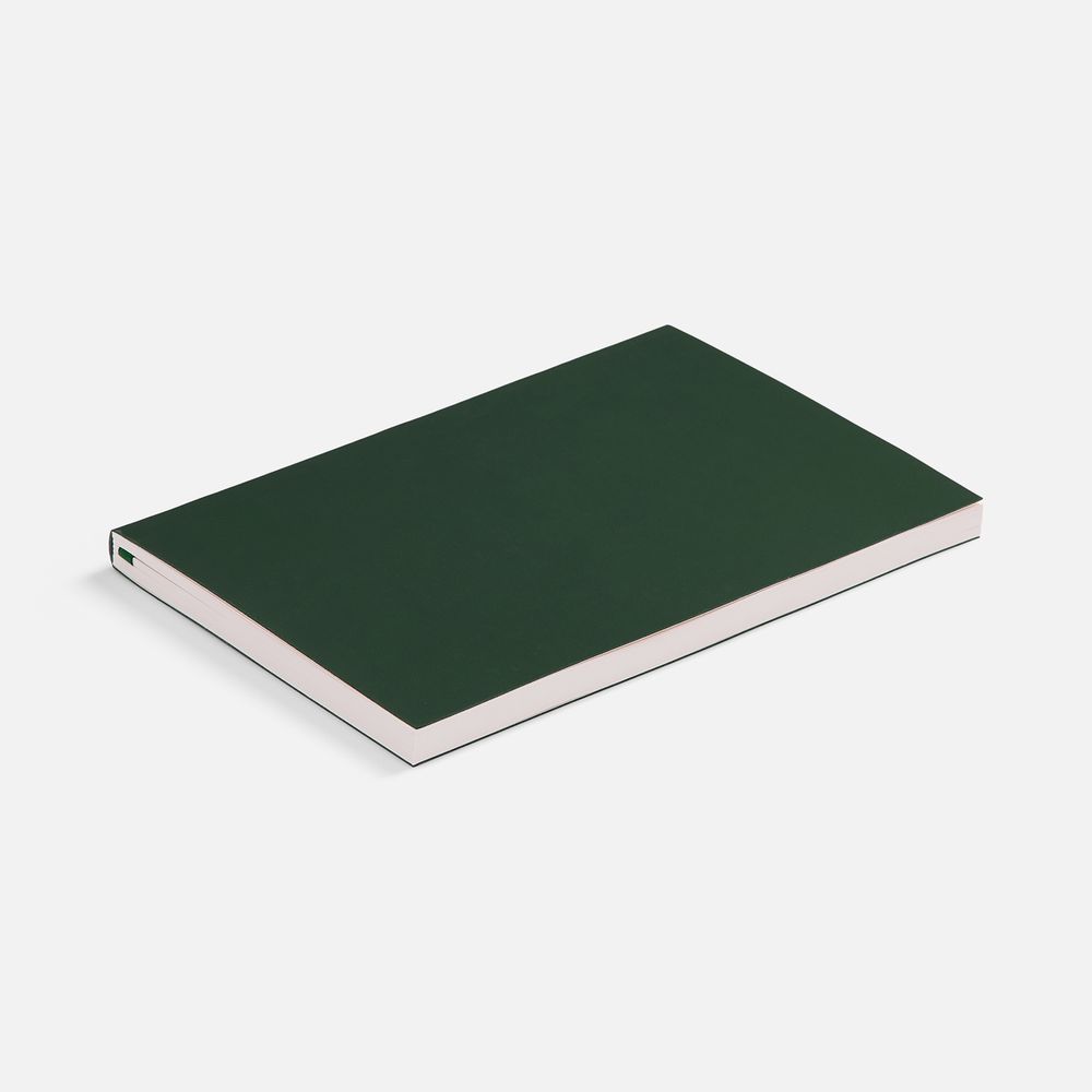 Ежедневник Flat Light ver.2, недатированный, зеленый-3