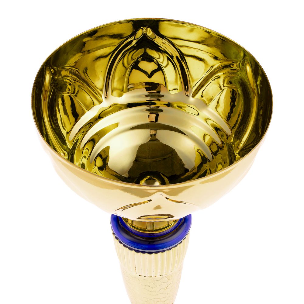 Кубок Awardee, большой, синий-3