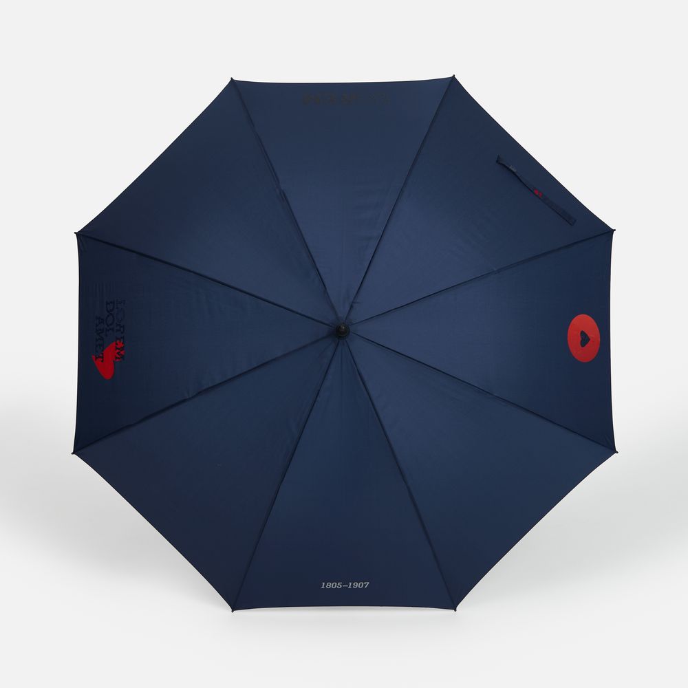 Зонт-трость Rainzee, темно-синий-8