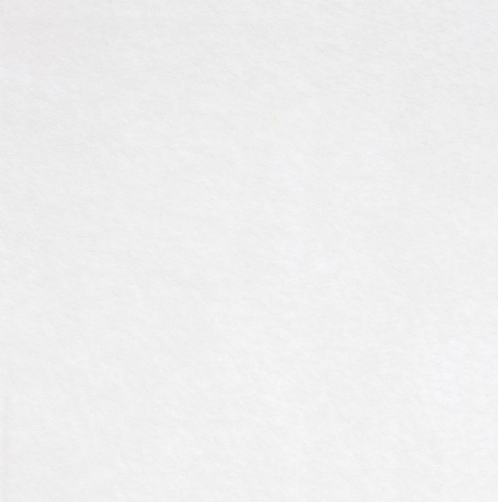 Заготовка из фетра Felt 600, белая-1