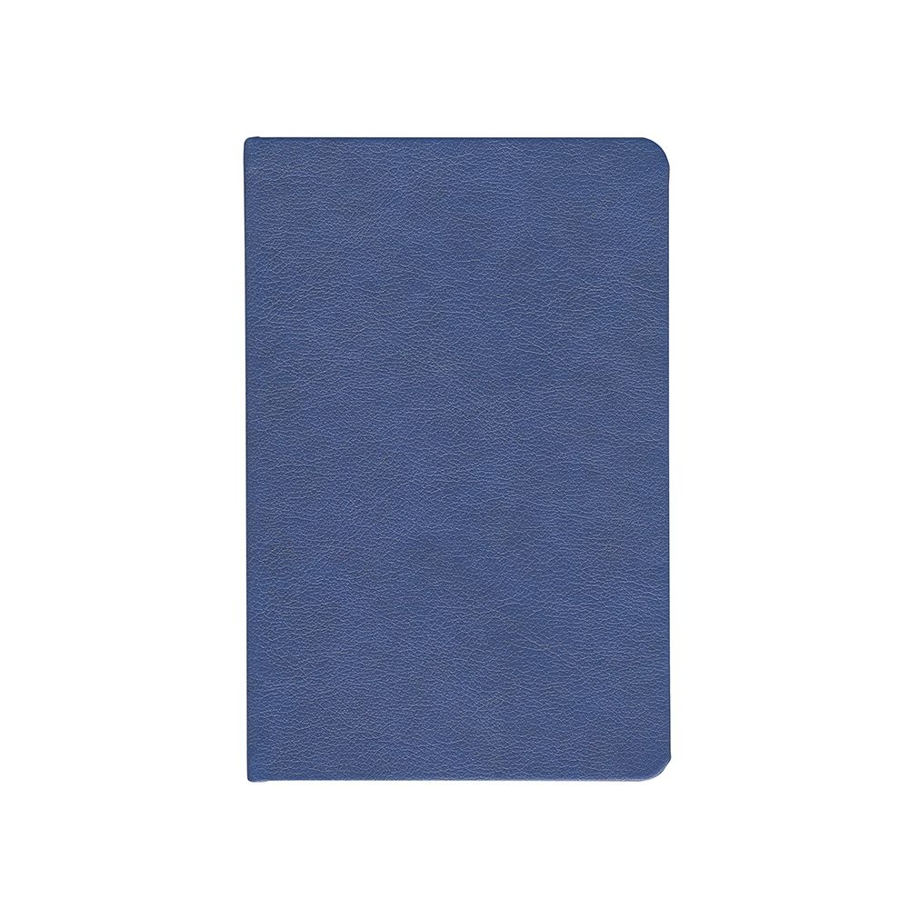 Ежедневник Daily Mini, недатированный, синий-2