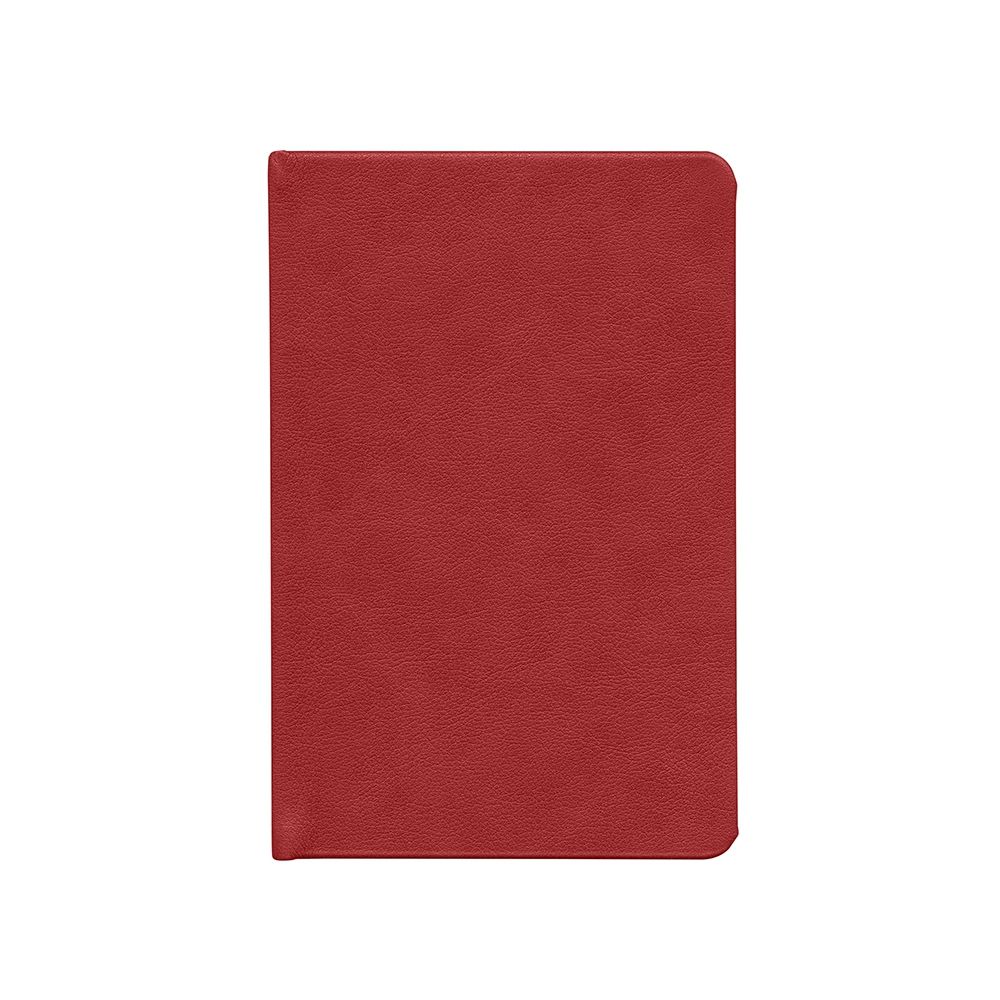 Ежедневник Daily Mini, недатированный, красный-2
