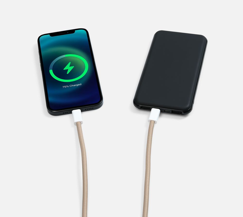 Кабель-ланьярд energyFlex Pro, серо-бежевый-10