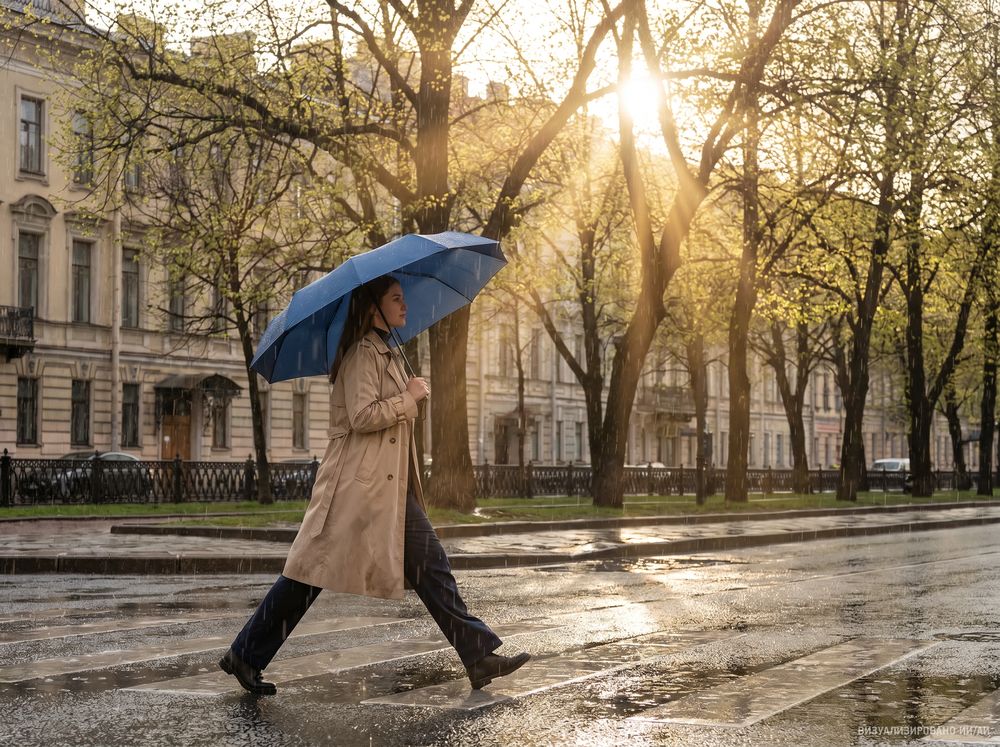 Зонт складной Regenfall, темно-синий-11