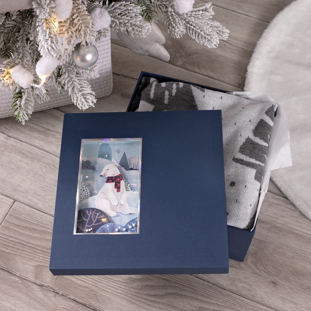 Коробка The Blue Bear, M-2