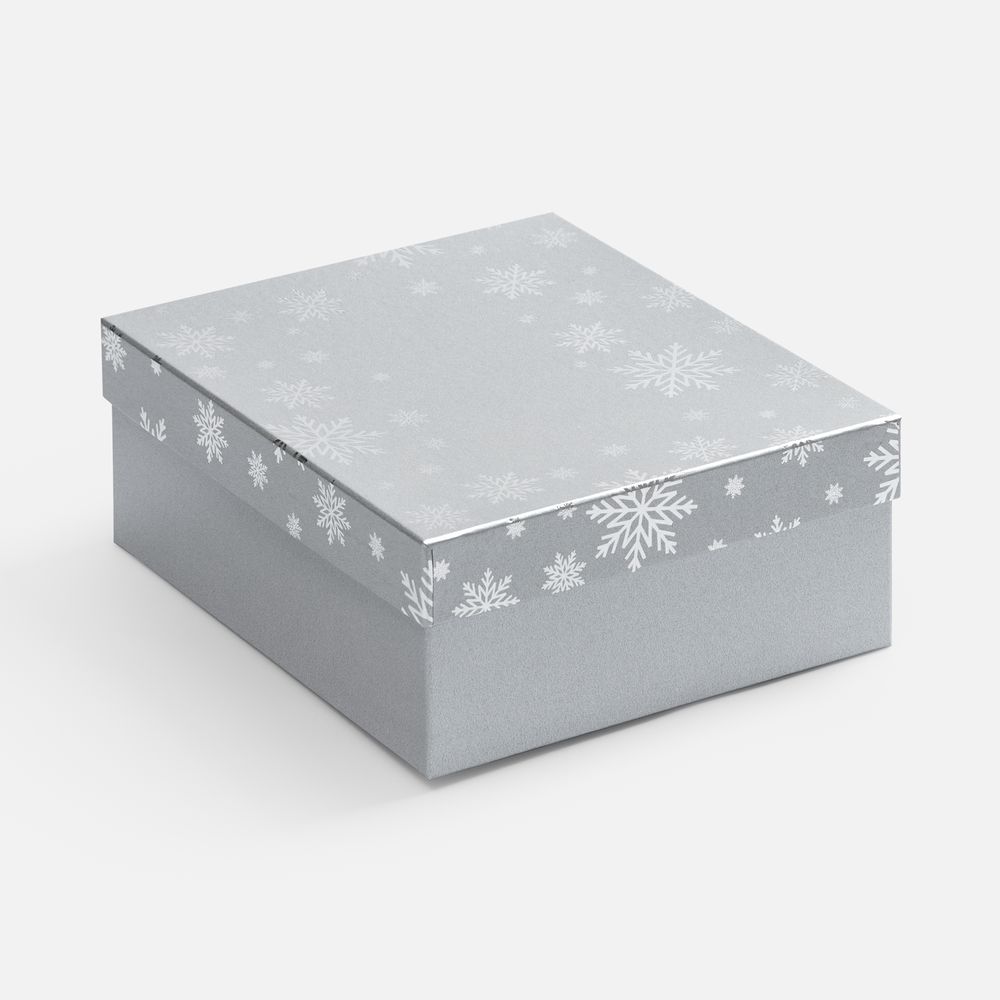 Коробка Wintry, серебристая-1