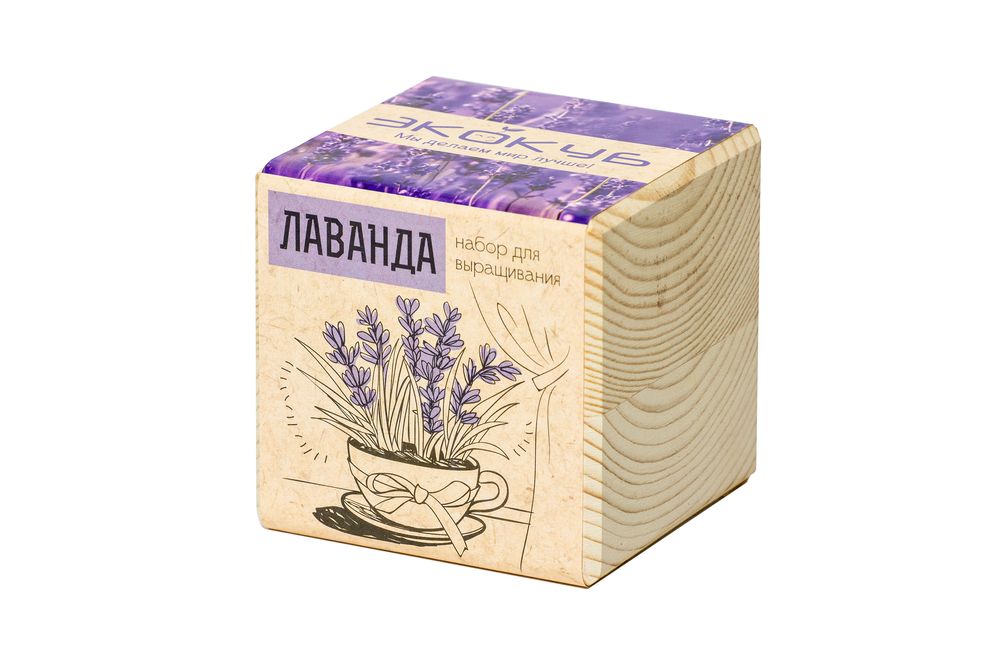 Набор для выращивания «Экокуб», лаванда-3