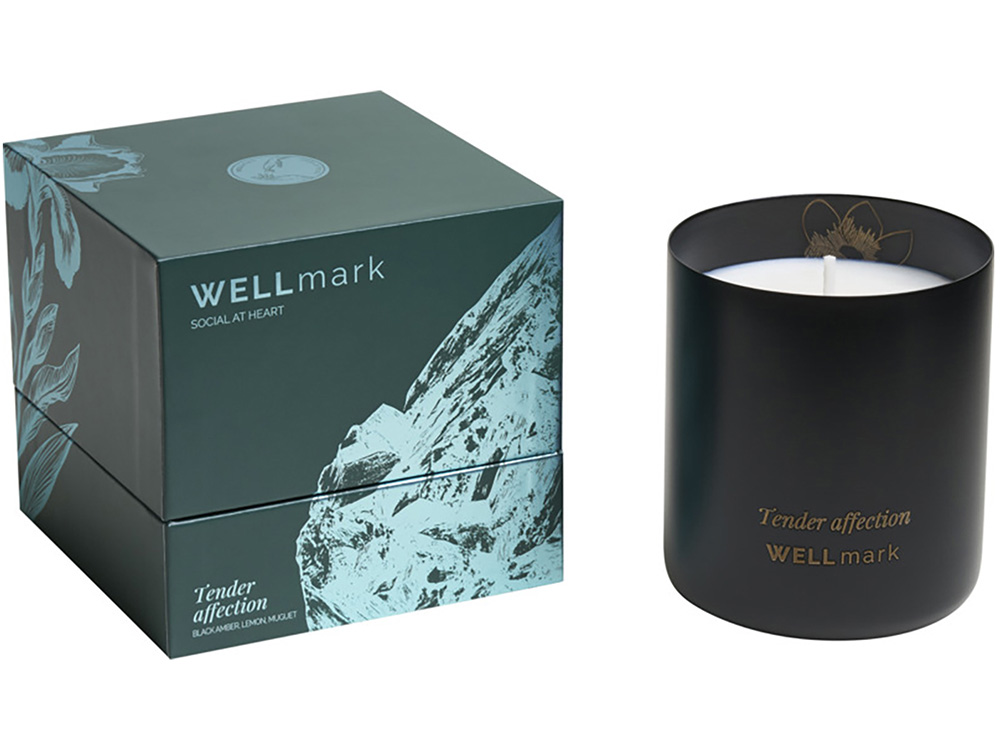 Ароматическая свеча Wellmark "Tender Affection" - сплошной черный-4