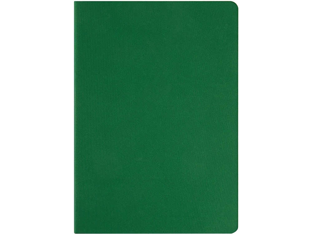 Ежедневник недатированный А5 "Megapolis Color Flex", зеленый-3