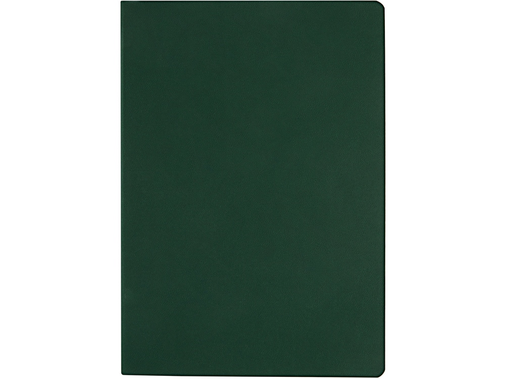 Ежедневник недатированный А5 "Megapolis Color Flex", темно-зеленый-3