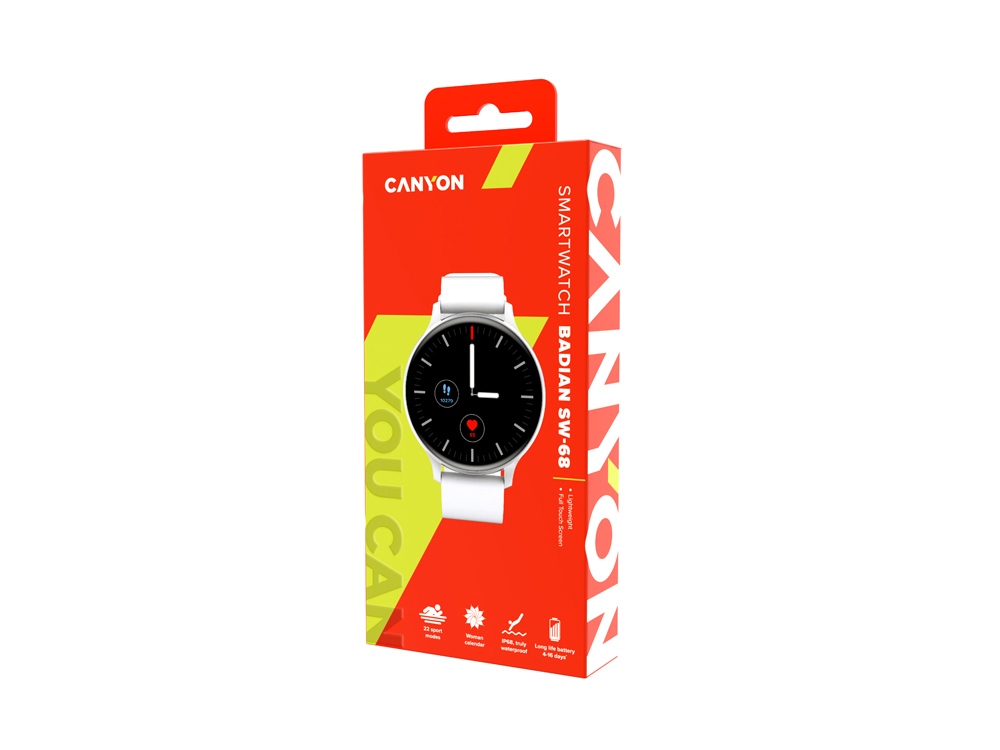 Смарт-часы Canyon SW-68 “ Badian”, IP68, серебряный (Р)-3