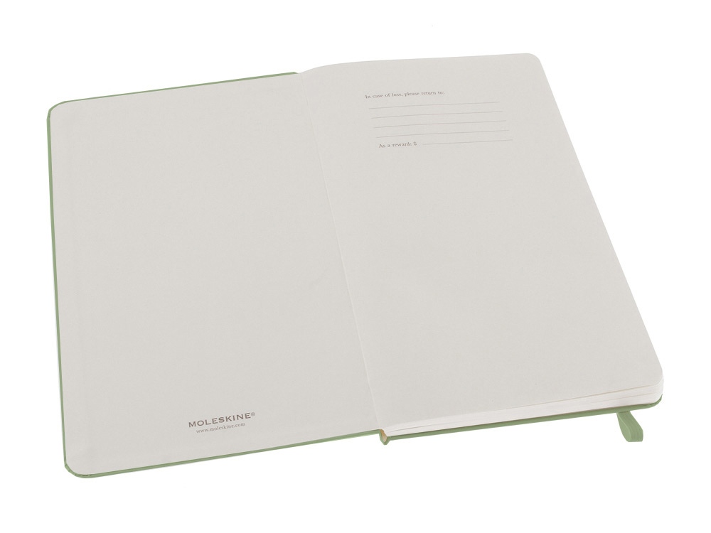 Записная книжка Moleskine Classic (в линейку) в твердой обложке, Large (13х21см), фисташковый-1