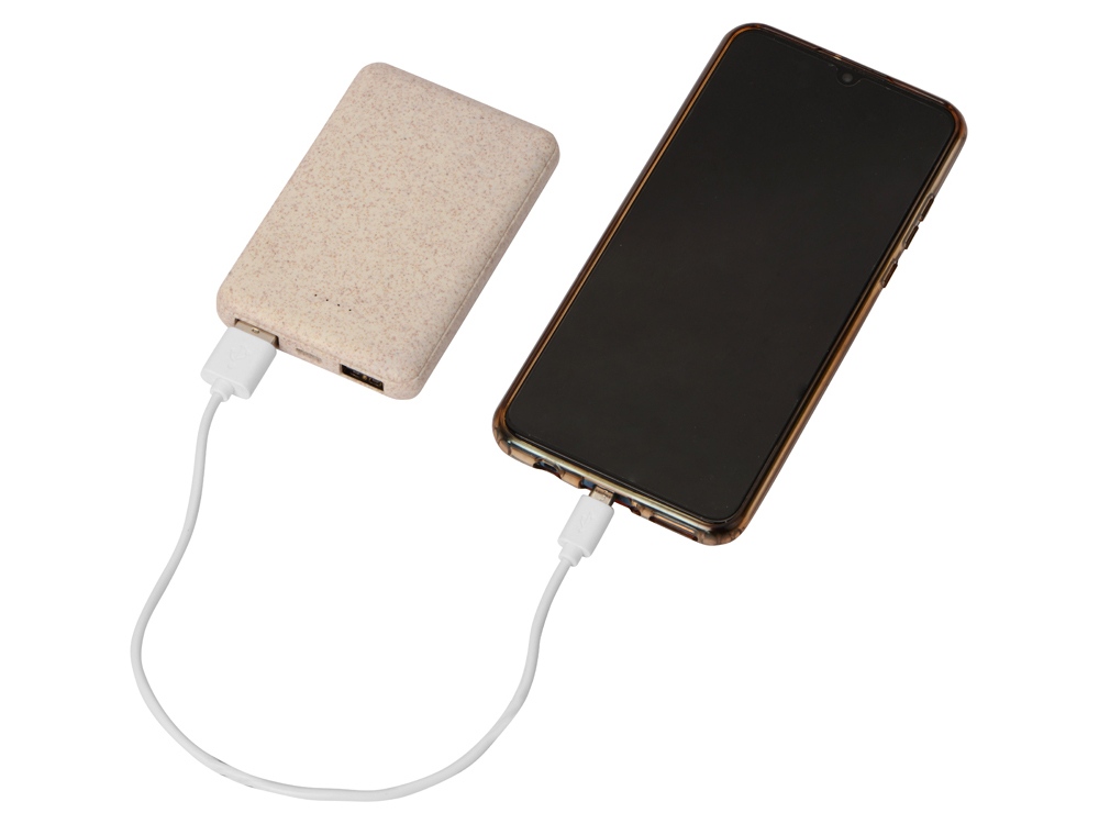 Портативное зарядное устройство "Wheatty", 5000 mAh-1