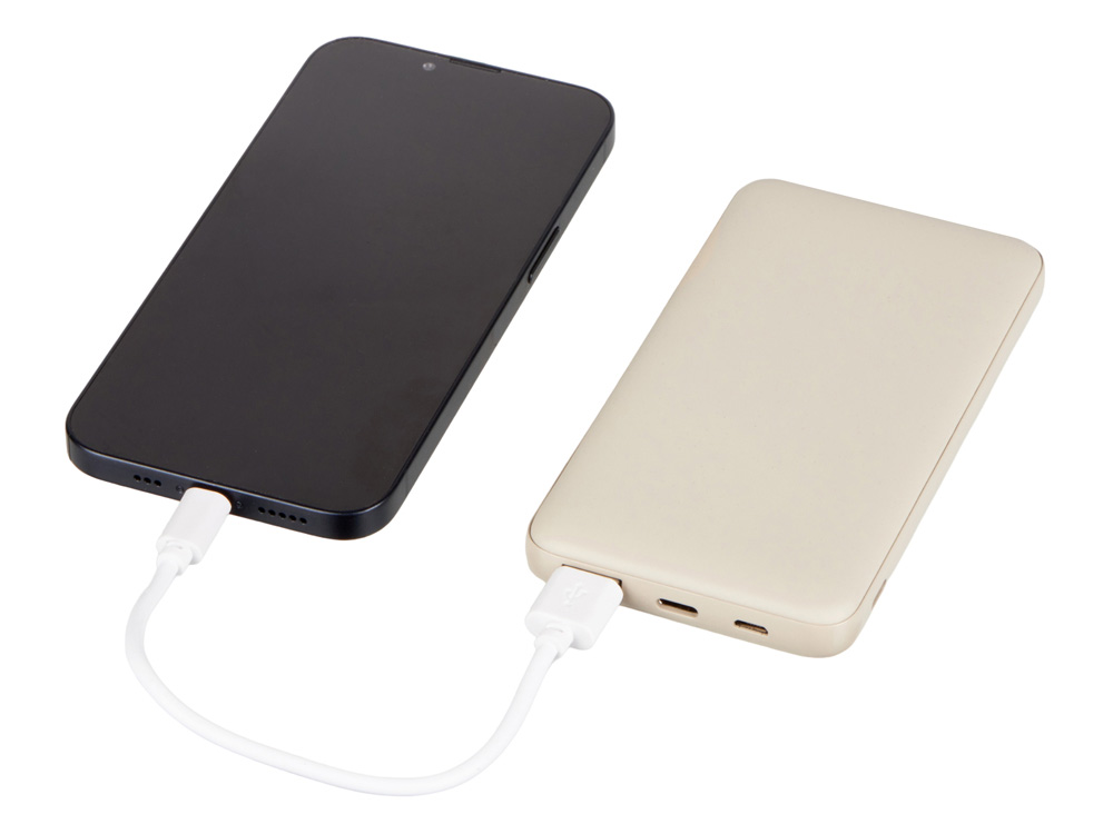 Внешний аккумулятор "Reserve Pro", 10 000 mah, бежевый-1