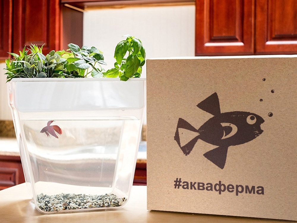 Набор для выращивания растений и ухода за рыбкой "Акваферма"-6