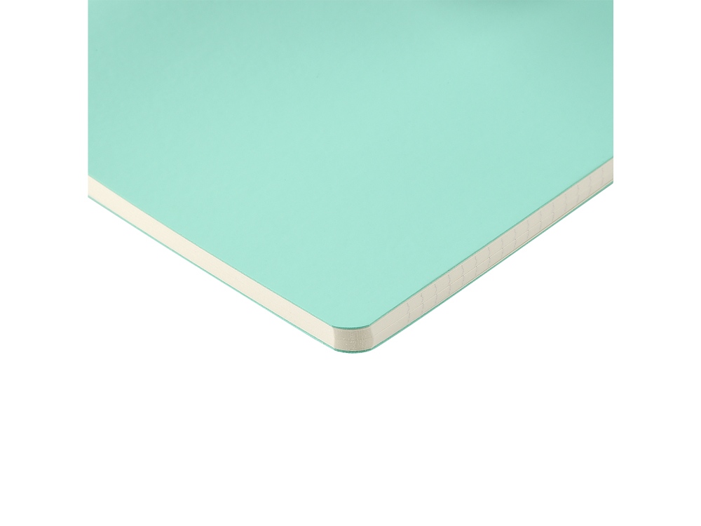 Бизнес тетрадь А5 "Megapolis flex" 60 л. soft touch клетка, зефирный мятный-3