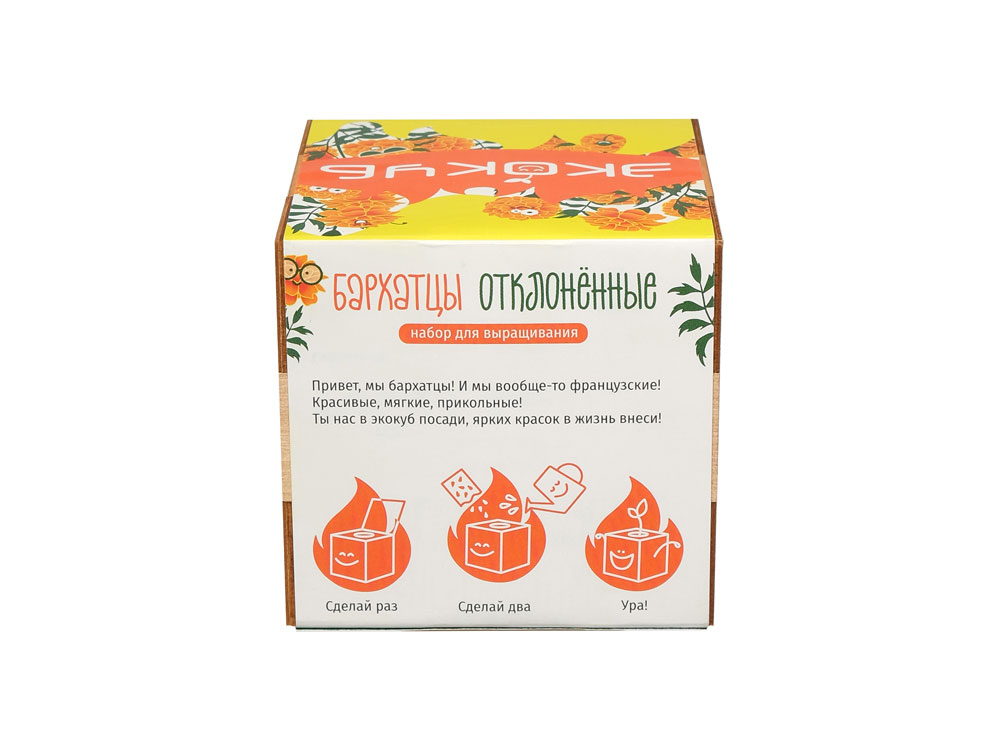 Набор для выращивания "Экокуб Magicme "Бархатцы"-3