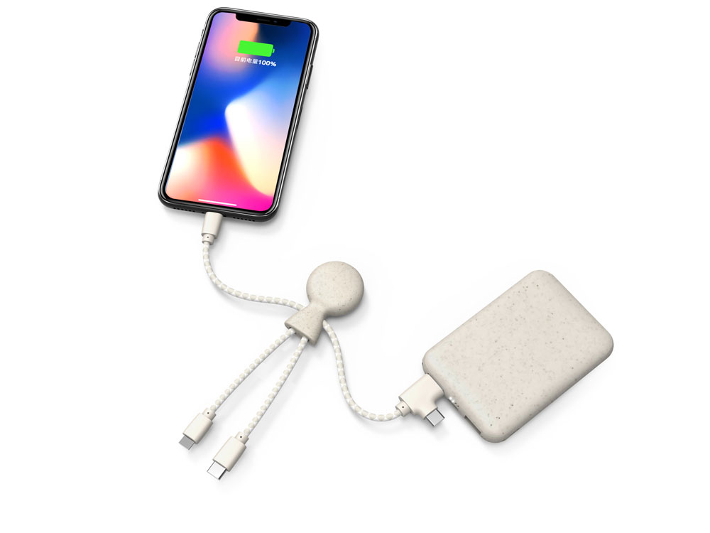 Портативное зарядное устройство "BioPack" c кабелем "Mr. Bio", 5000 mAh, белый-3