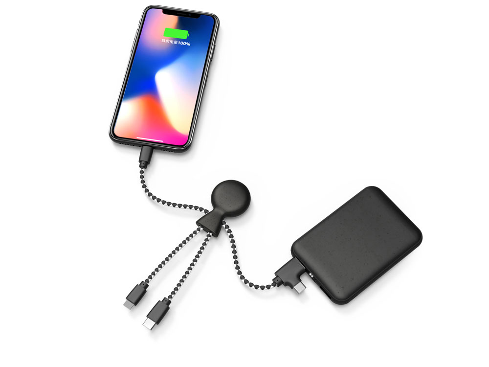 Портативное зарядное устройство "BioPack" c кабелем "Mr. Bio", 5000 mAh, черный-3
