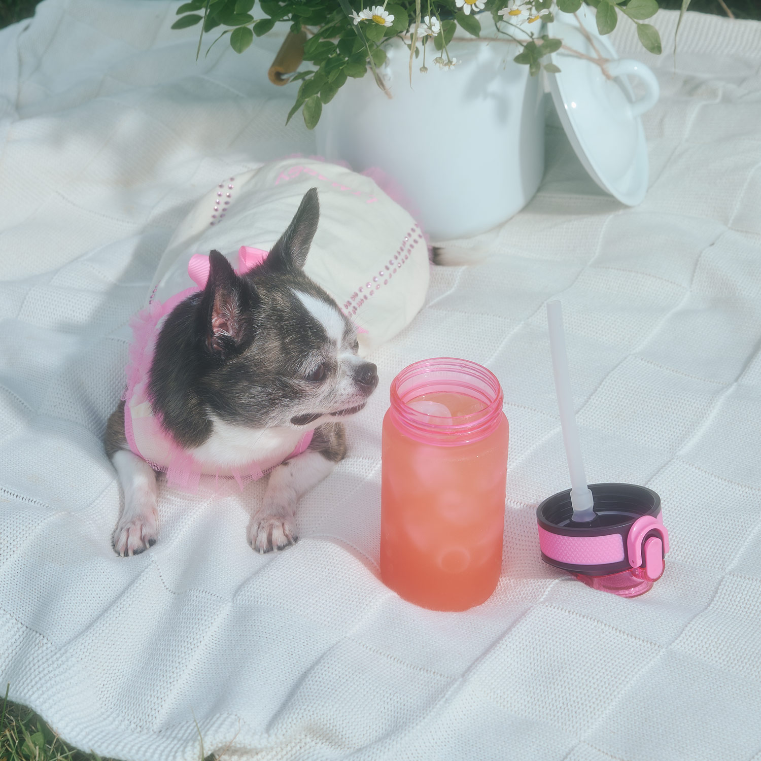 Бутылка для воды Флип мини  (Flip mini), розовая-10