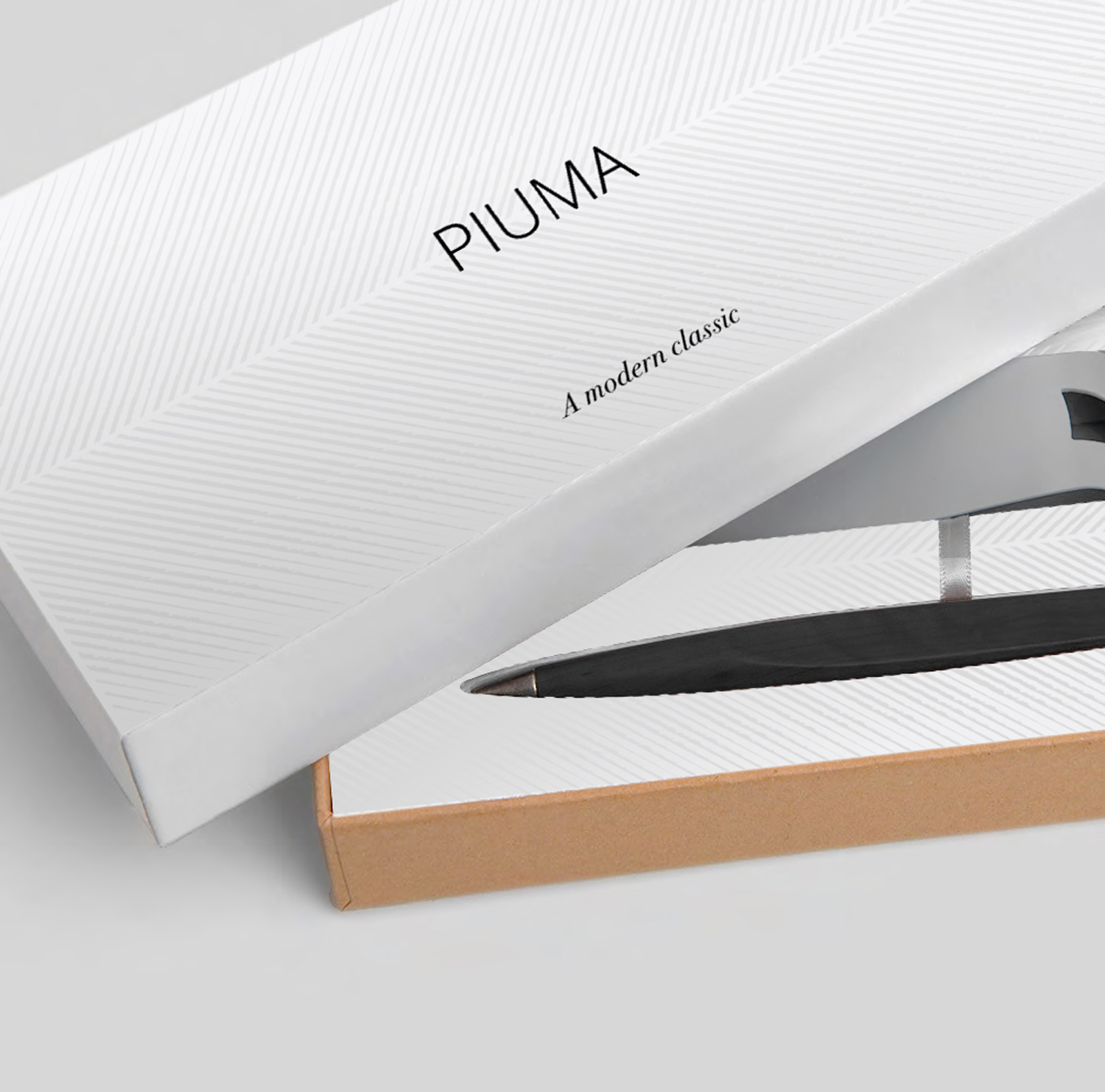 Вечная ручка Pininfarina Piuma A MODERN CLASSIC CHARCOAL-5