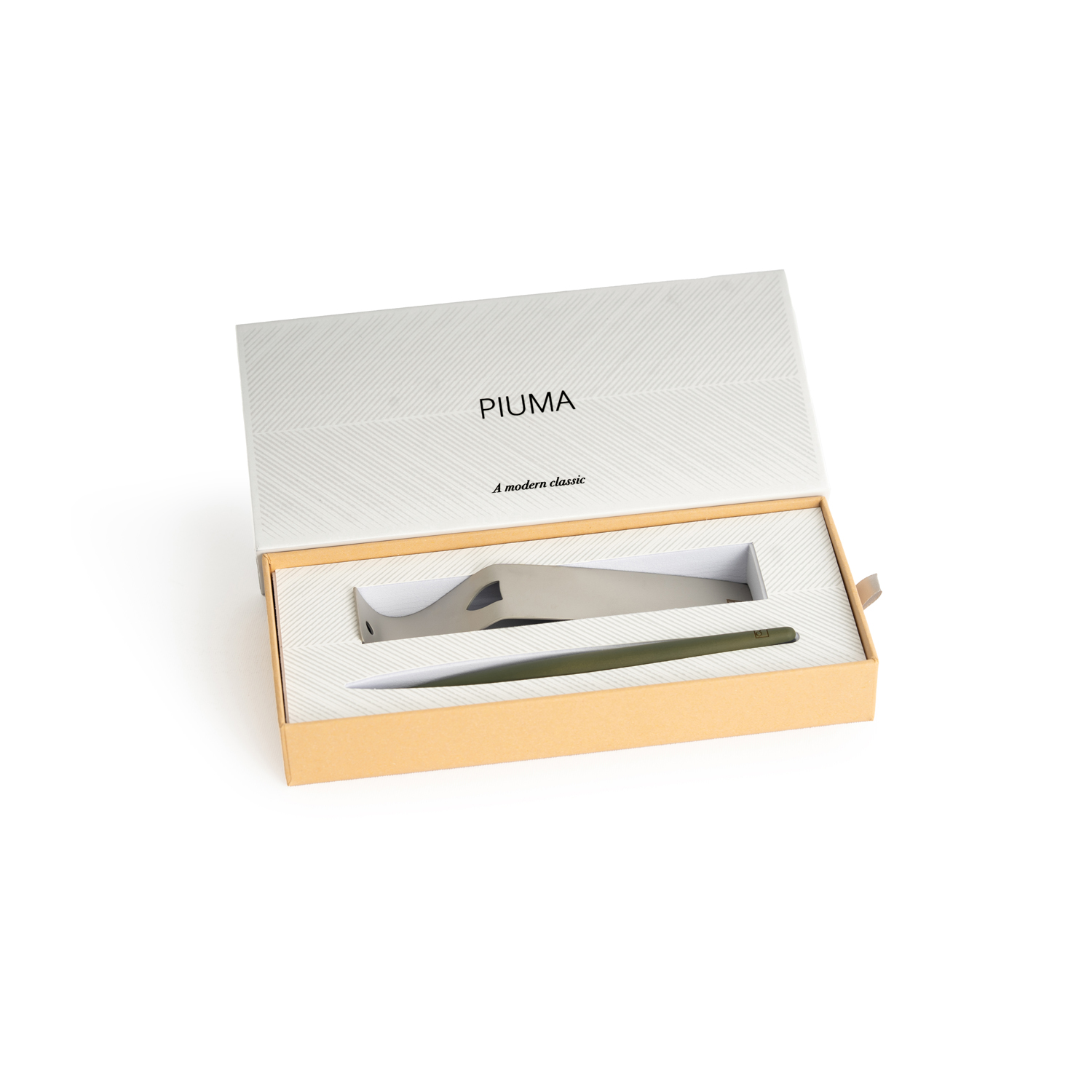 Шариковая ручка Pininfarina Piuma A MODERN CLASSIC SAGE GREEN-2