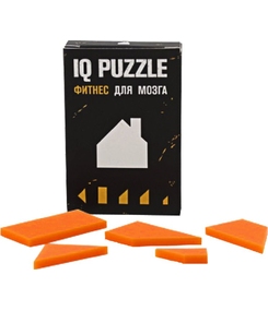 Головоломка IQ Puzzle, домик